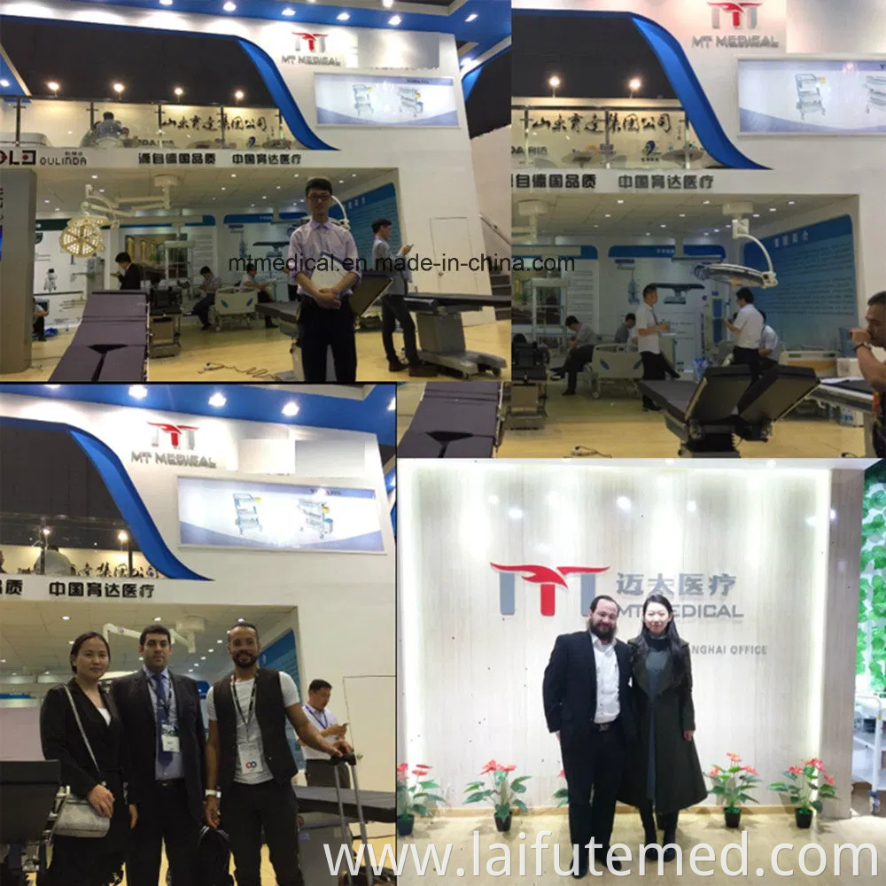 Factory Price Animal Veterinary Pet Cages Stainless Steel Vet Cat Cage with Wheels and Tray Oxygen Cage